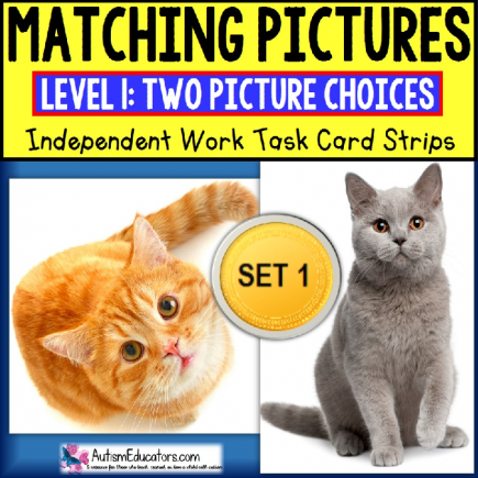 MATCHING IDENTICAL PICTURES Task Cards  SET 1 TASK BOX FILLER